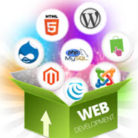 Web Development