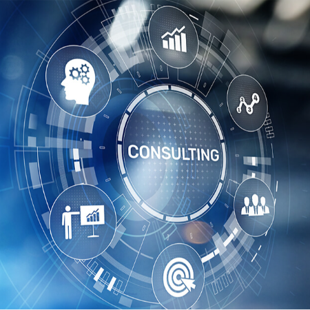 IT Consulting